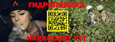 прущие крисы Краснознаменск