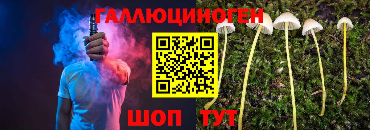 Галлюциногенные грибы ЛСД Комсомольск-на-Амуре